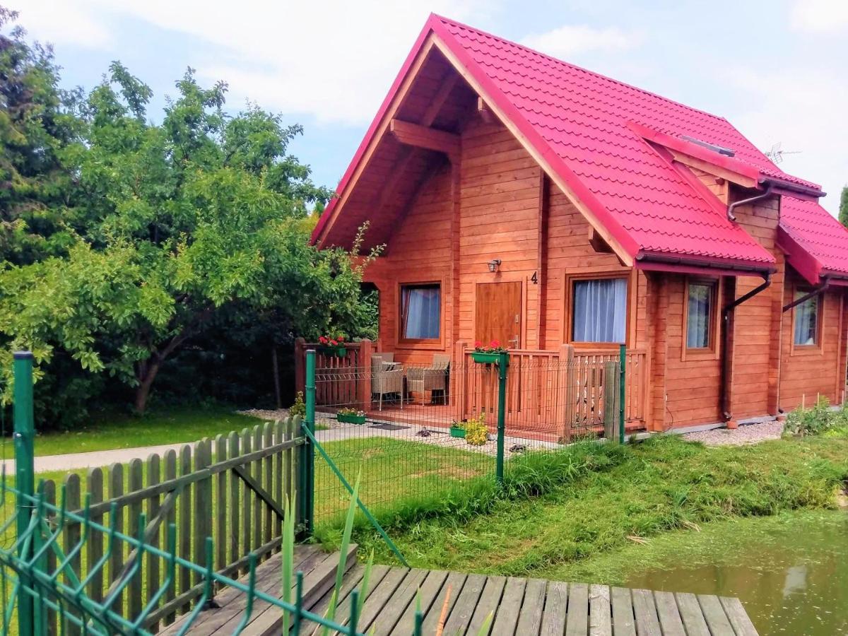 Zabi Staw Mikolajki (Mragowo)